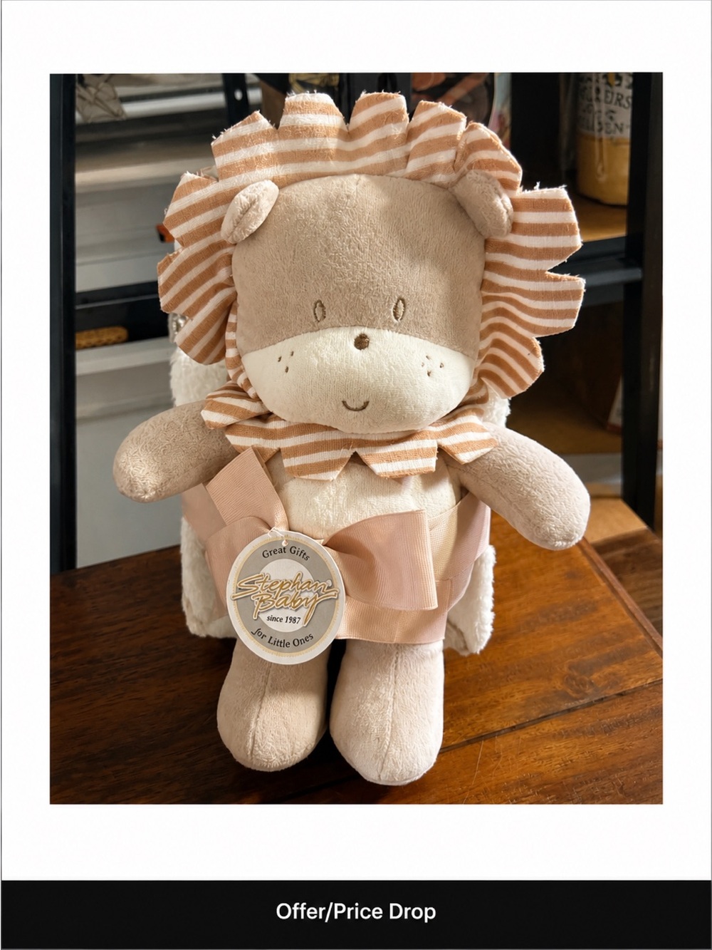 Plush Blanket & Plush Lion Set